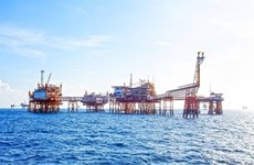 PetroVietnam posts positive revenues despite falling oil prices