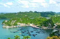 Hai Phong draws visitors to Cat Ba island