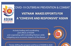 Vietnam makes efforts for 'cohesive and responsive' ASEAN