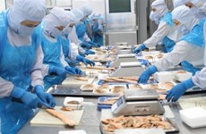 Shrimp, tuna exports to EU see positive signs