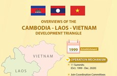 Overviews of the Cambodia-Laos-Vietnam Development Triangle