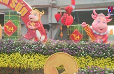 Ho Chi Minh City decorated to prepare for Tet