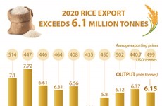 2020 rice export exceeds 6.1 million tonnes