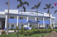 Vinamilk exports plant-based and condensed milk to China