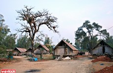 Ancient village where M’nong culture is preserved