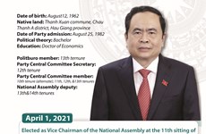 Tran Thanh Man elected as Vice Chairman of  National Assembly