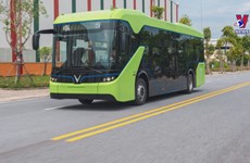 HCM City gets green light to trial electric buses 