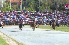 Traditional horse race festival recognised as national intangible heritage