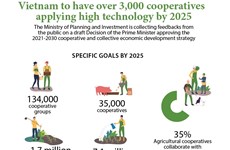 Vietnam to have over 3,000 cooperatives applying high technology by 2025