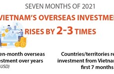 Vietnam's overseas investment rises by 2-3 times 