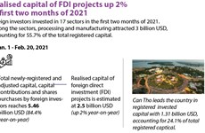 Realised capital of FDI projects up 2%  in first two months of 2021