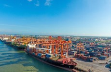 High sea freight rates hurting businesses