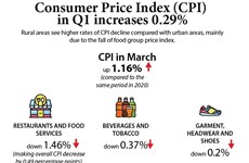 Consumer Price Index (CPI)  in Q1 increases 0.29%