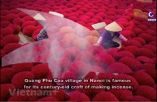 Quang Phu Cau incense-making village