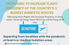 Proposing to increase flight frequency of the country's 3 busiest domestic routes