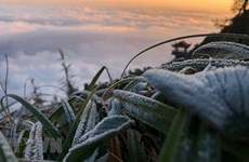 Fansipan mountain covered with frost