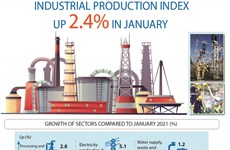 Industrial production index up 2.4 percent in January