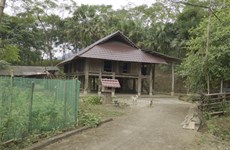Muong ethnics preserve stilt houses for tourism development
