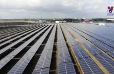US waives tariffs on solar panels from Vietnam