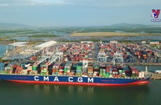 Cai Mep port ranked 11th among the world’s most efficient container ports