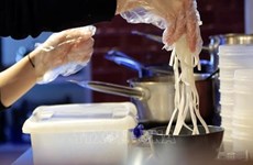 EU ends emergency food safety control on Vietnamese noodles
