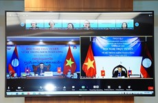 Vietnam, Laos step up cooperation in State audit capacity
