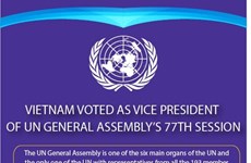 Vietnam voted as Vice president of UN General Assembly’s 77th session