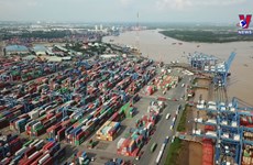 Vietnam - Australia trade goes up 37% in eight months