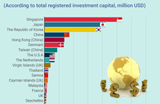 Top 10 countries and territories investing in Vietnam