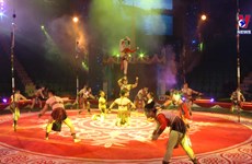 Vietnam wins three golds at Int’l Circus Festival