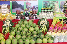 Bac Giang promotes high quality OCOP products