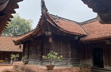 Dau pagoda, a precious national cultural patrimony