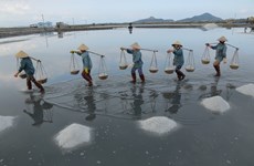Hon Khoi villagers strive for preserving salt making