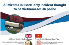Victims in Essex lorry incident thought to be Vietnamese: UK police