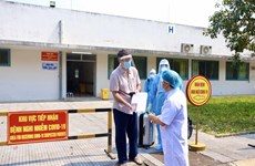 COVID-19 patient No.33 discharged from hospital 