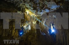 Tra Tu Cave in Ninh Binh province