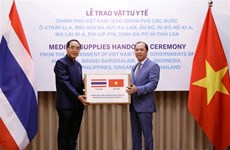 Vietnam joins hands with ASEAN countries in COVID-19 fight