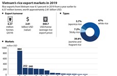 Vietnam’s rice export markets in 2019