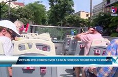 Vietnam welcomes over 3.8 million foreign tourists in 10 months