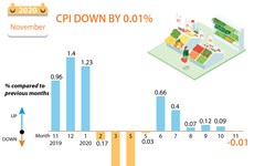 Vietnam's CPI down by 0.01 percent in November 