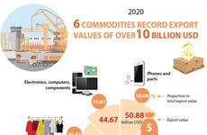 Six commodities record export values of over 10 billion USD in 2020