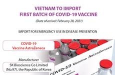 Vietnam to import first batch of Covid-19 vaccine 