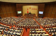 14th National Assembly leaves major imprint