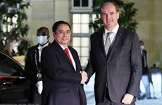 Vietnamese PM pays official visit to France