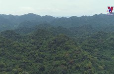 Cuc Phuong named Asia's leading national park