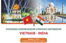 Fostering Vietnam – India Comprehensive Strategic Partnership