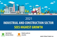 Industrial and construction sector sees highest growth