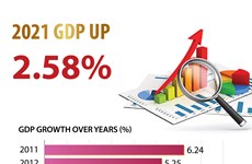 Vietnam's GDP up 2.58 percent in 2021 