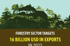 Forestry sector targets 16 billion USD in exports in 2022