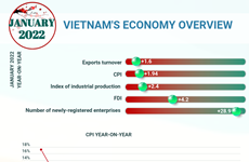 (Interactive) Vietnam's economy overview in January